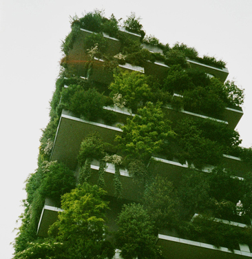 building with trees and plants growing out of it